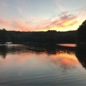 Meet your Posher, Cotey